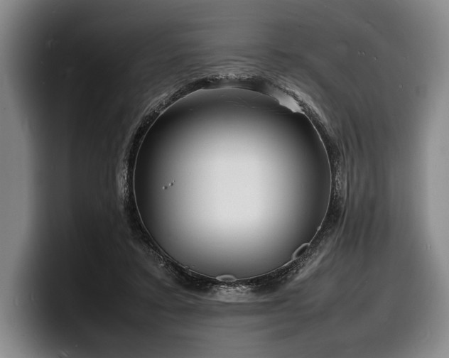X0000100310403200806051500