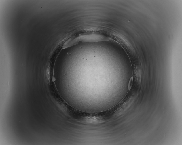 X0000100310404200806051500