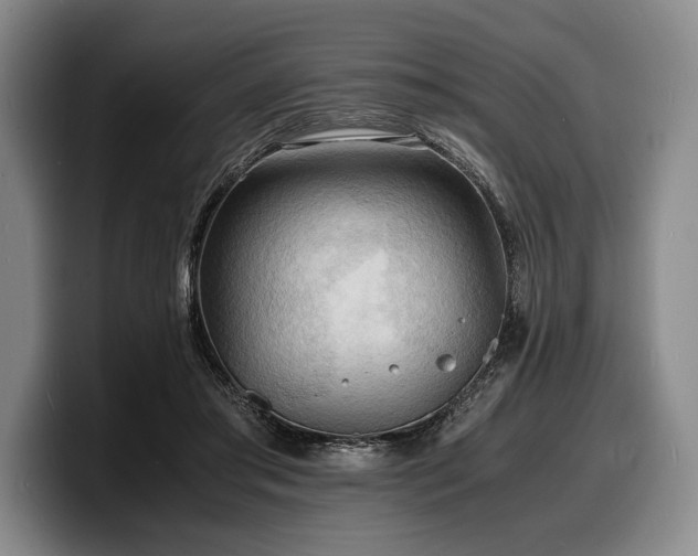 X0000100310405200806051500
