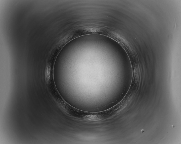 X0000100310406200806051500