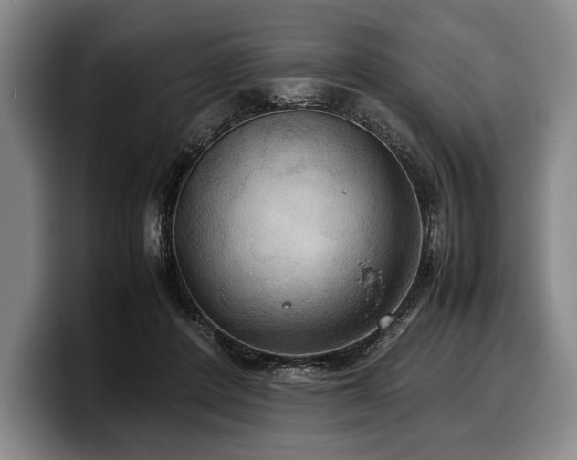 X0000100310408200806051500