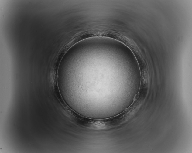 X0000100310409200806051500