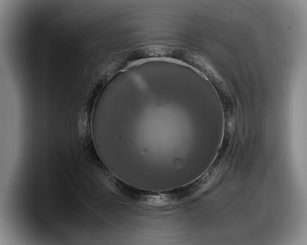 X0000100310411200806051500