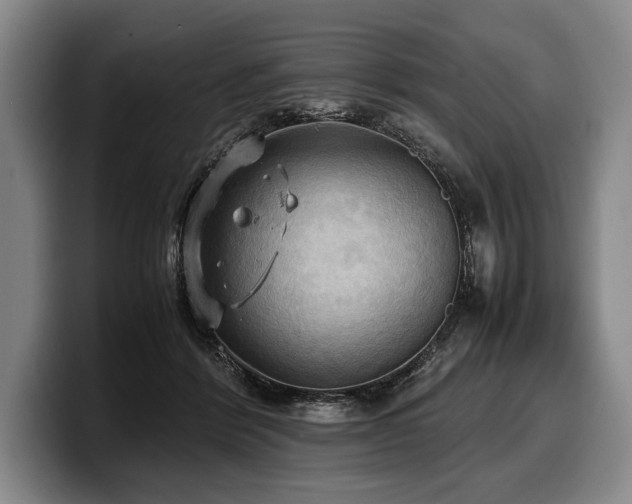 X0000100310412200806051500