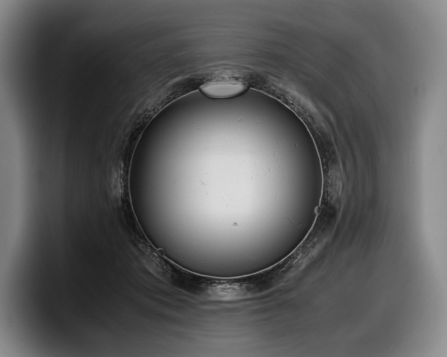X0000100310413200806051500