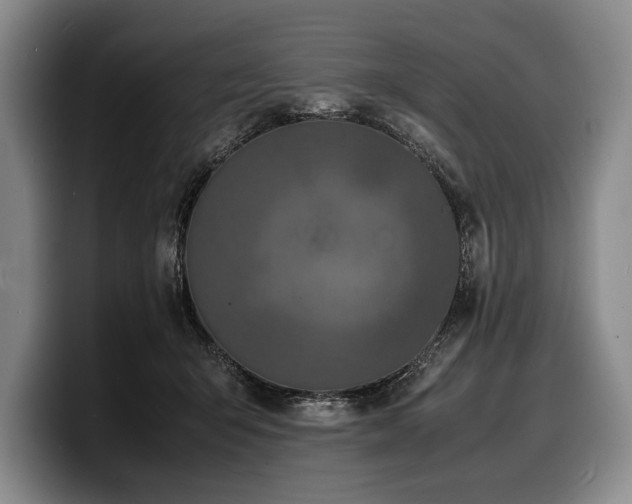X0000100310415200806051500