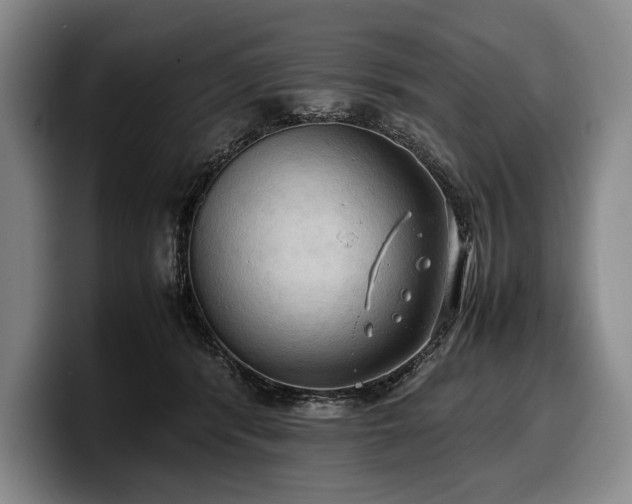 X0000100310416200806051500
