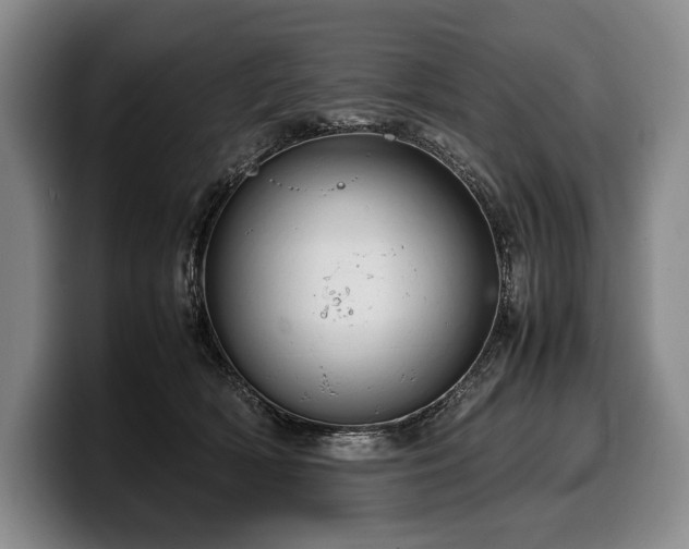 X0000100310418200806051500