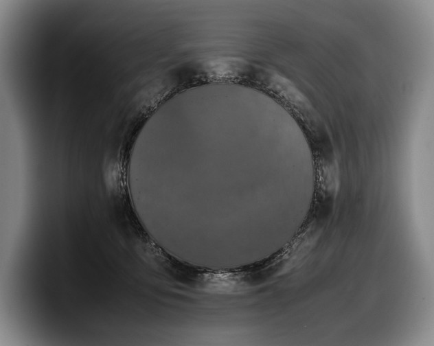 X0000100310419200806051500