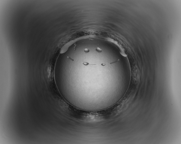 X0000100310420200806051500