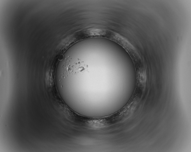 X0000100310422200806051500