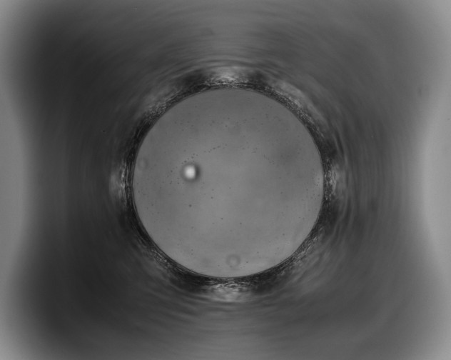 X0000100310423200806051500
