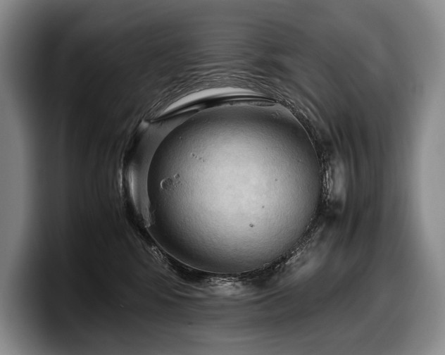 X0000100310424200806051500