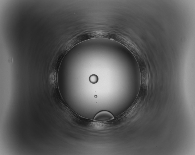 X0000100310425200806051500