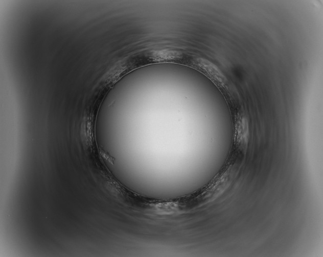 X0000100310426200806051500