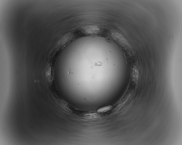 X0000100310428200806051500