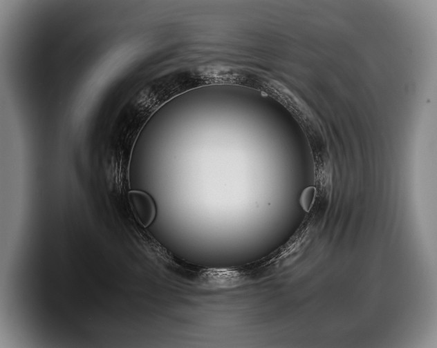 X0000100310429200806051500