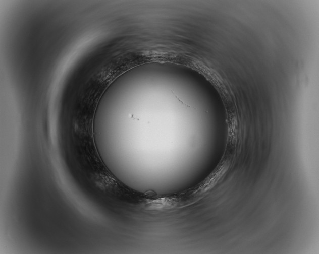 X0000100310430200806051500