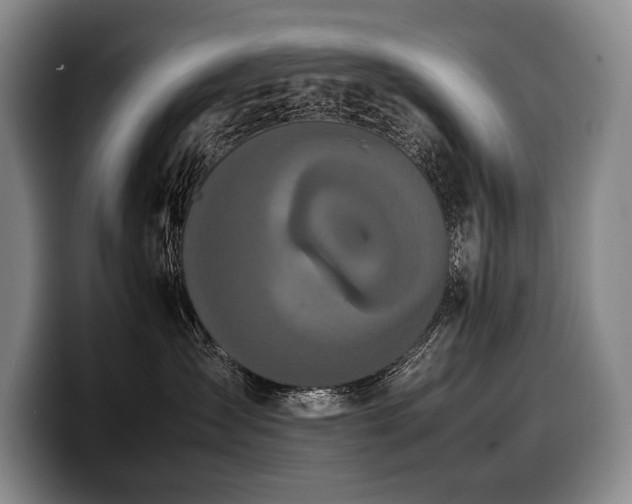 X0000100310431200806051500