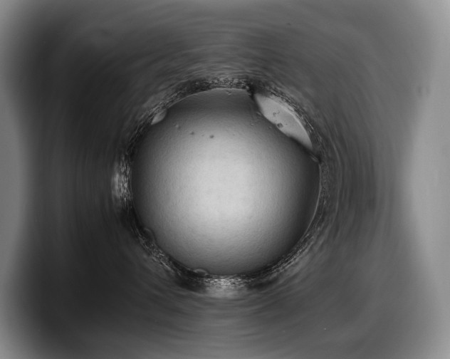 X0000100310432200806051500
