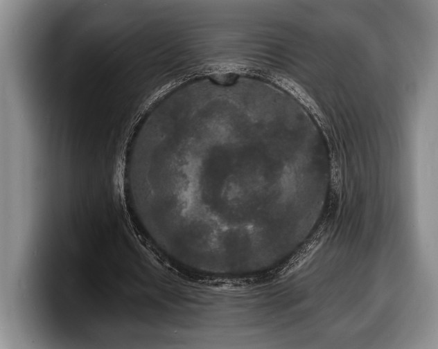 X0000100310434200806051459
