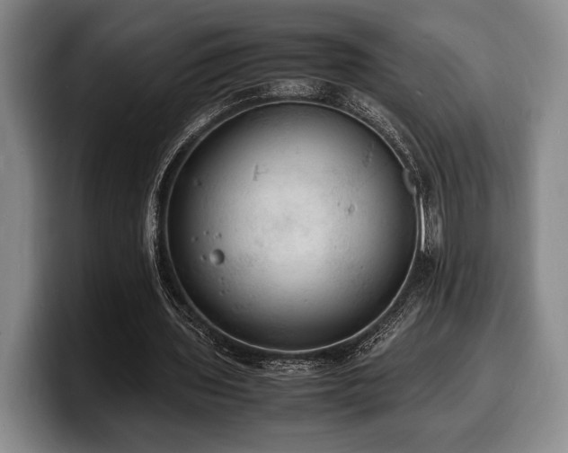 X0000100310435200806051459