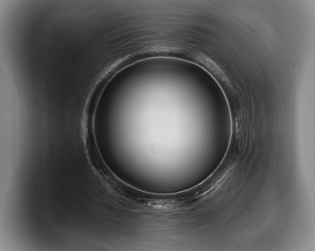 X0000100310436200806051459