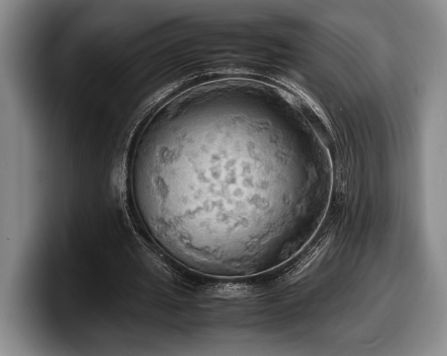 X0000100310437200806051459