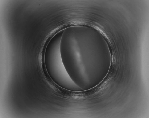 X0000100310438200806051459