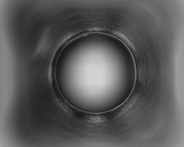 X0000100310439200806051459
