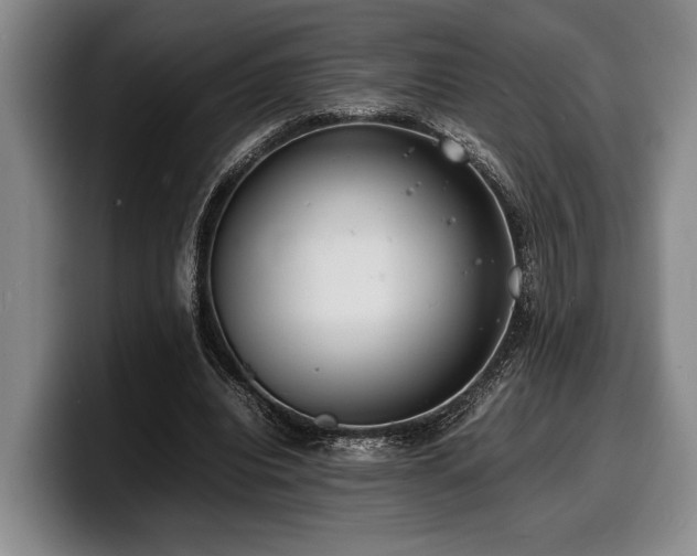 X0000100310440200806051459