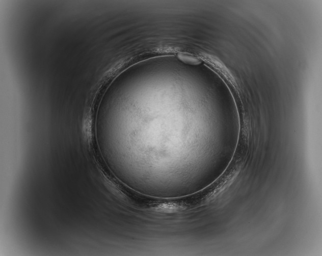 X0000100310441200806051459
