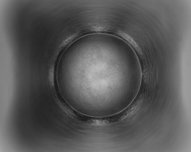 X0000100310442200806051459
