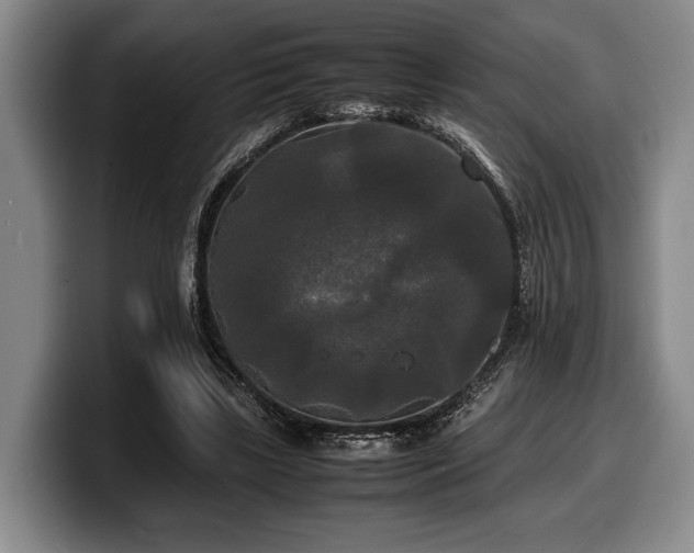 X0000100310443200806051459