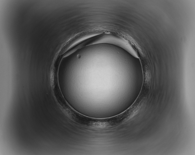 X0000100310444200806051459