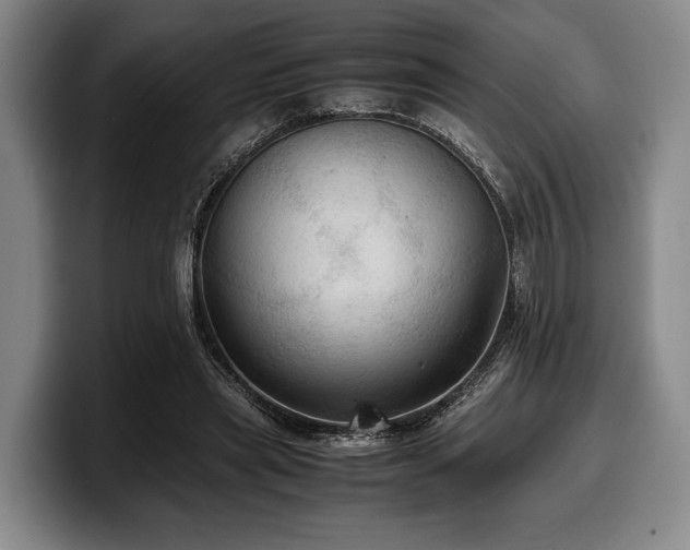X0000100310445200806051459