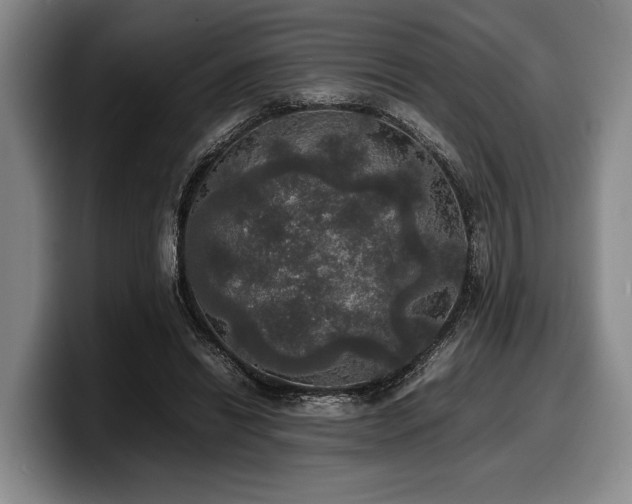 X0000100310446200806051459