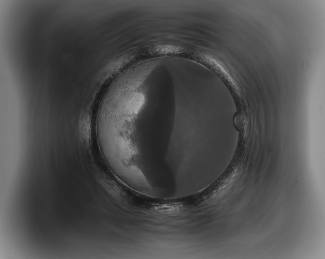 X0000100310447200806051459