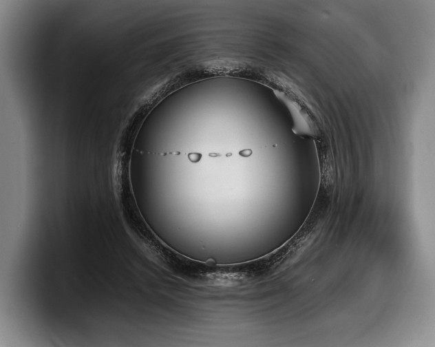X0000100310448200806051459