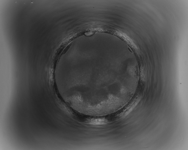 X0000100310449200806051459