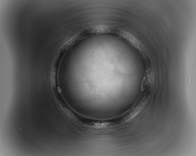 X0000100310450200806051459