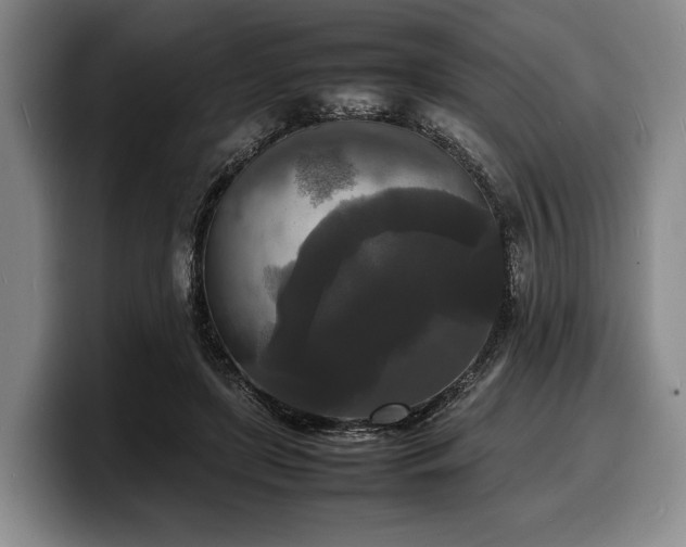 X0000100310451200806051459