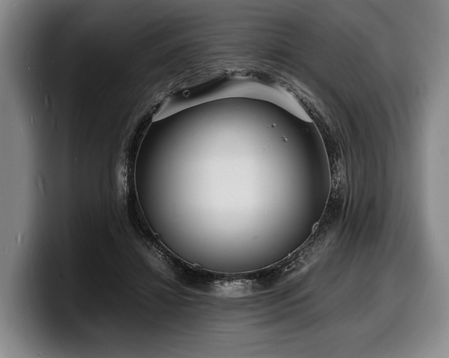 X0000100310452200806051459