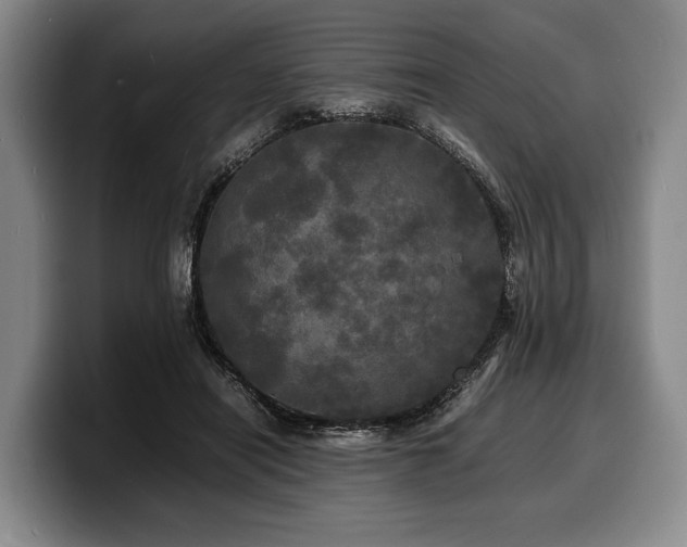 X0000100310454200806051459