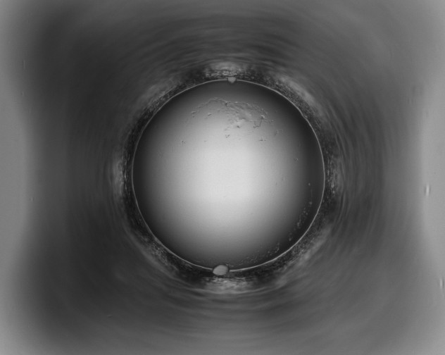 X0000100310455200806051459