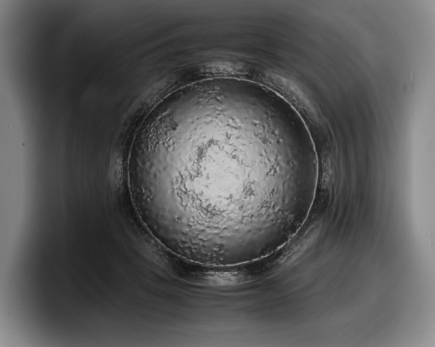 X0000100310457200806051459