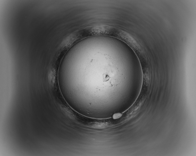 X0000100310458200806051500