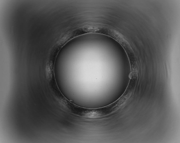 X0000100310460200806051500