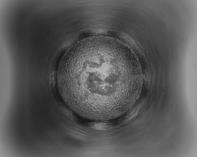 X0000100310462200806051500