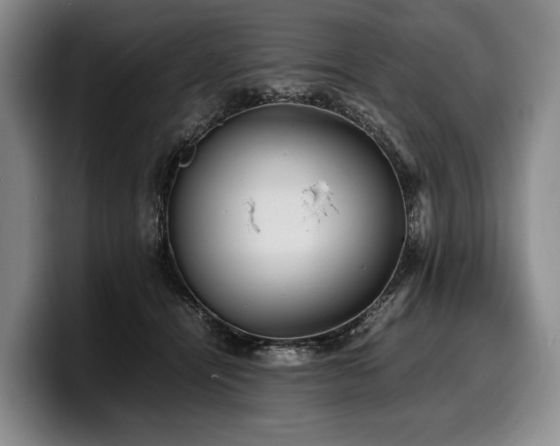 X0000100310464200806051500
